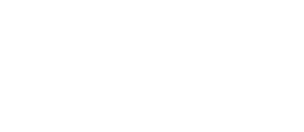 Security Distributors Australia